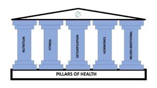 5 Pillars of Health