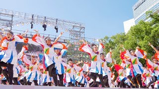 [4K] 名古屋学生チーム『鯱』　どまつり 2018　本祭2日目 (中央)