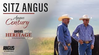 Sitz Angus | Angus Heritage Foundation and Angus Century (2024)