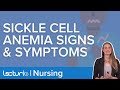 Sickle Cell Anemia Signs and Symptoms | Lecturio Nursing Pediatrics