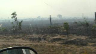 incêndio no parque nacional de chapada dos guimaraes
