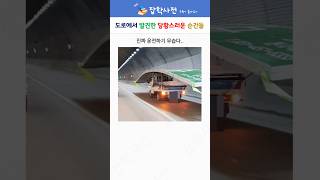 도로에서 발견한 당황스러운 순간들