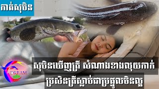 សុបិនឃើញត្រី សំណាងខាងលុយកាក់ ប្រសិនត្រីស្លាប់ជាប្រផ្នូលមិនល្អ(01)-@សុបិន-Dream