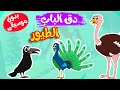 أغنية  دق الباب الطيور بدون موسيقى