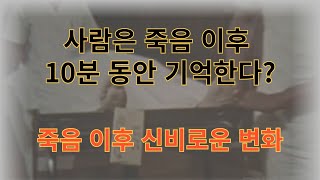 사람이 죽어도 10분 동안 뇌는 기억을 한다? 신비한 몸의 변화과정