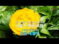 미련의 부르스 설운도 ky.86249 ky 금영노래방 ky karaoke