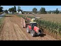 Harvesting Tall Corn