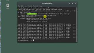 Connect to SQL Server on Linux with SSMS