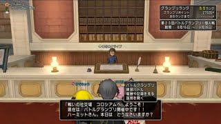 【ドラクエ10】自分を信じろ。 第23回GPSS【コロシアム】