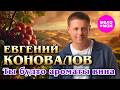 Евгений Коновалов - Ты будто ароматы вина (Official Video, 2026)