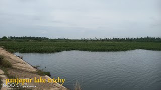 panjapur lake trichy