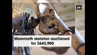 Mammoth skeleton auctioned for $643,900 - ANI News