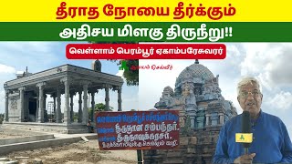 தீராத நோயை தீர்க்கும் அதிசய மிளகு திருநீறு Egambareswarar Shiva Temple Vellamperambur சம்பந்தர் மேடு