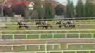 1986 Caulfield Stakes- Bonecrusher