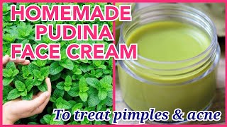 HOMEMADE PUDINA FACE CREAM|MINT FACE CREAM TO GET RID OF PIMPLES