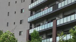 動画 坪井東の住宅街の小川