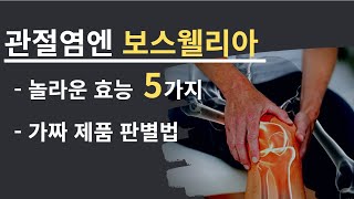 보스웰리아 꼭 먹어야하는 이유, 진짜 제품 추천