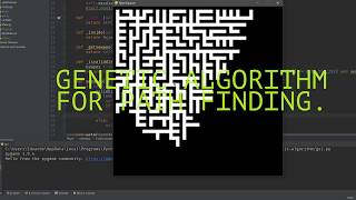 Maze Explorer ( genetic algorithm for path finding )