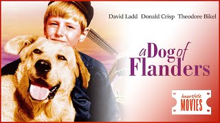 Faithful Companions: A Dog Of Flanders | Feel Good Flicks |Heartfelt Movies