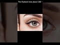 Interesting Fact Beautiful Eye Lash #Small info#