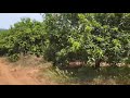 വെറുംമൂന്നരലക്ഷം ഏക്കറിന് 3.5lakhsperacre1500acres landforsale location tamilnadutirunelveli