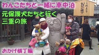 元保護犬たちと行く伊勢＆鳥羽の旅 🚕🚗🚙わんこと車中泊 おかげ横丁編