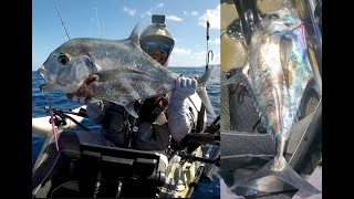 KAYAK JIGGING UP A RARE KAGAMI ULUA (AFRICAN POMPANO) | HAWAII KAYAK FISHING