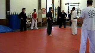 Aikido Training With Sensei Delgado & Tim Gallagher 4/8