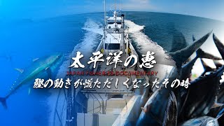 [Wakayama Prefecture] Bonito pole and line fishing “When the bonito movements become hectic”