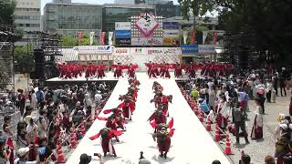 【4K】早稲田大学 踊り侍（第4回 土佐学生よさこい大会 /一部)