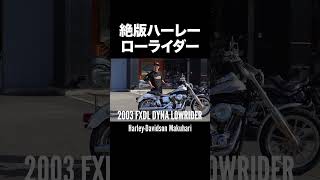 絶版ハーレー‼️2003 FXDL DYNA LOWRIDER #ハーレーダビッドソン幕張