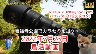 【Zfc Z30 Z9 4K動画】（20220723鳥活）野鳥/善福寺公園/カワセミ/杉並区/ニコン/Nikon Z9/Zfc/Z30/Z 400mm f/4.5 VR S