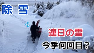 【除雪】連日の雪かき、、、今季何回目？？