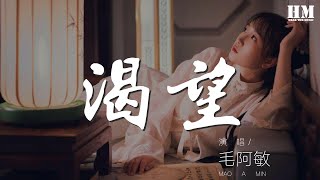 毛阿敏 - 渴望『』【動態歌詞Lyrics】