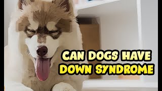 Can Dogs Have Down Syndrome