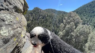 Chavez and Beaver Brook Trail Loop - Golden, CO - Genesee Park - 4K