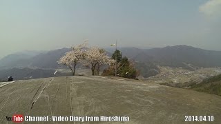 2014 広島桜巡り Part10 神の倉山公園 花見ドライブ 2/2 (Sakura tour Mt.Kanokura-park,Cherry-blossom viewing drive)