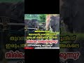 വന്തുട്ടെന്നു സൊല്ലു തിരുമ്പി വന്തുട്ടെന്നു സൊല്ലു അരികൊമ്പൻ arikomban return eliphent