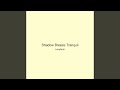 Shadow Breeze Tranquil