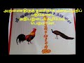 திருப்புகழ் பாடல் 796 பகுதி 301 திருவிடைக்கழி thiruppugazh songs 796 thiruvidaikazhi part 301 அருணக