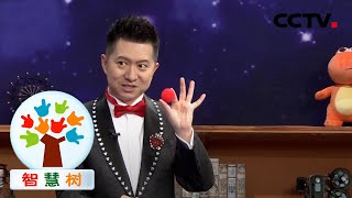 教你小球变色魔术 20210302 |《智慧树》CCTV少儿