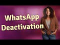 What Happens to WhatsApp Group Chats When Someone Deactivates?