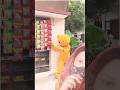 Chips 🤣Teddy prank ………#funnyshorts #mrcrazy🥰🥰funnyshorts