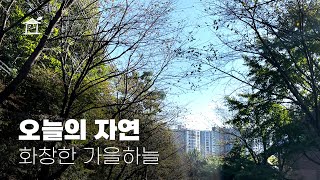 오늘의 자연 - 화창한 가을하늘 ASMR