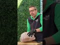 Rob shows you how to spatchcock a turkey for the Big Green Egg. #shorts #short #biggreenegg #turkey