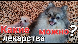 Опасные препараты для собак из медицины людей