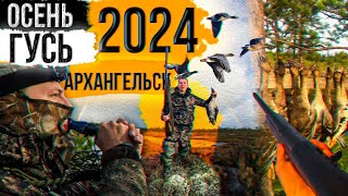 Особенности национальной охоты в Архангельске. Охота на гуся 2024