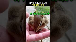 위기에 빠졌었던 그곳에 계속 찾아온 이유