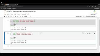 Python input function with type casting and without type casting.