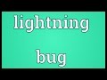 Lightning bug Meaning